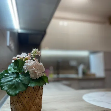 T Place 1 Апартамент *